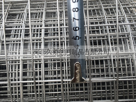 不锈钢电焊网